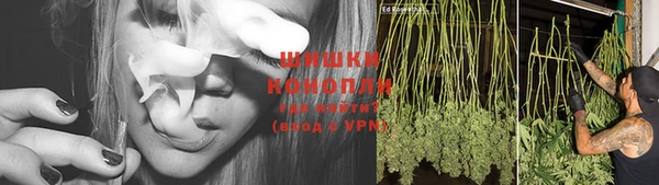шишки Козельск