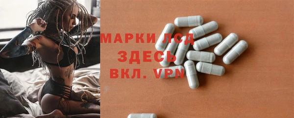 прущие грибы Кодинск