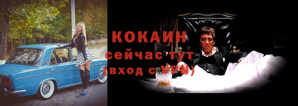 прущие грибы Кодинск