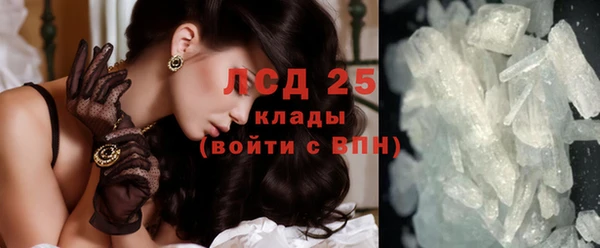 прущие грибы Кодинск