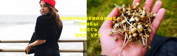 шишки Козельск