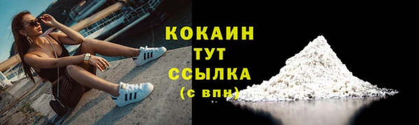 прущие грибы Кодинск