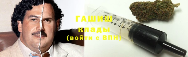 шишки Козельск
