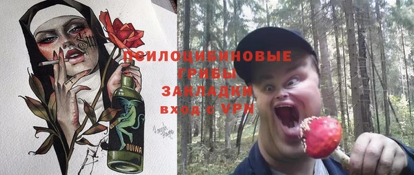 прущие грибы Кодинск
