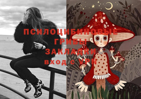 скорость Козловка