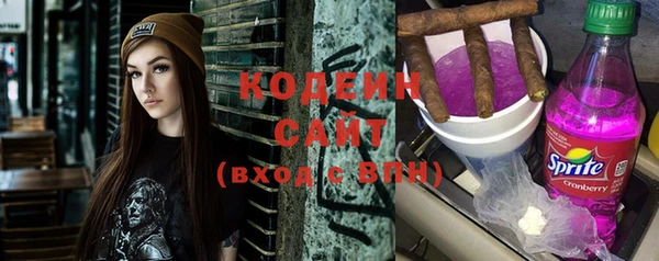 шишки Козельск