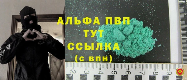шишки Козельск