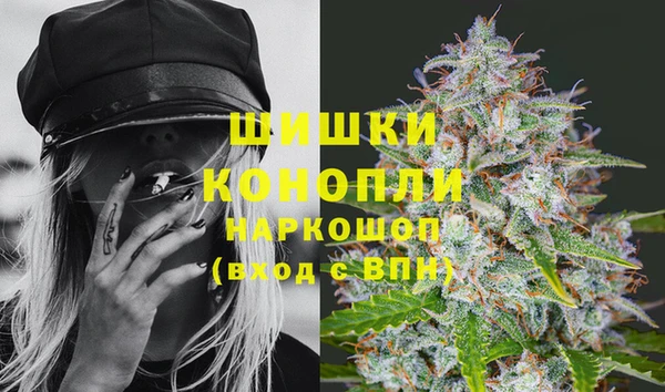 шишки Козельск