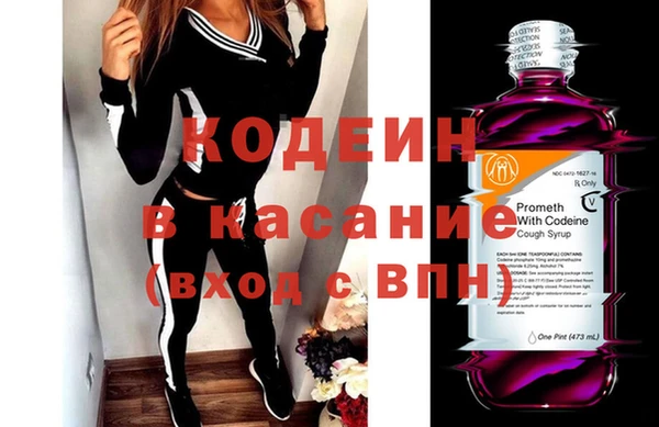 прущие грибы Кодинск