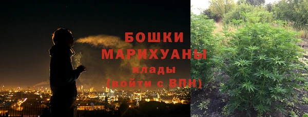 шишки Козельск